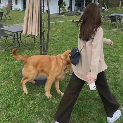 鲁卜哈利沙漠：非洲的女人